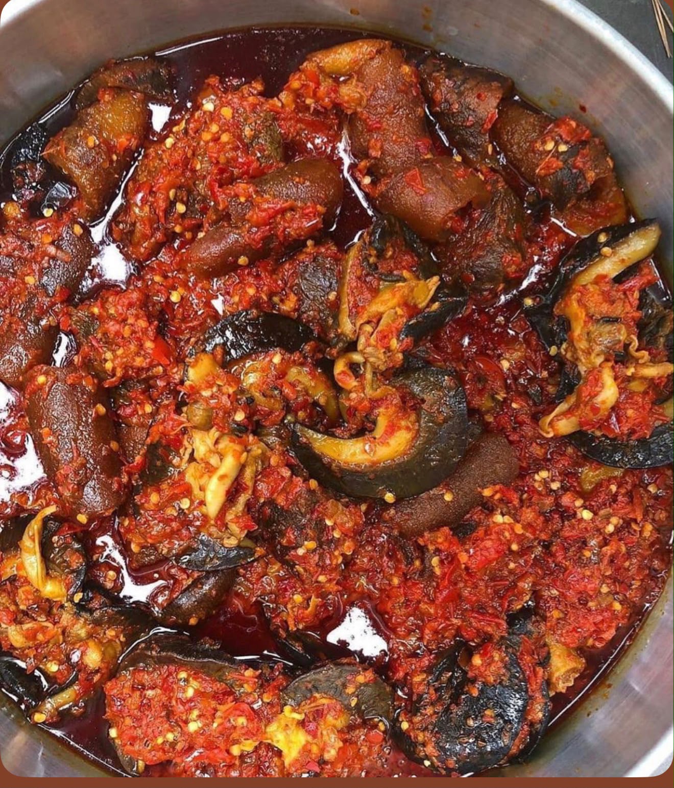 Peppered Snails photo 2